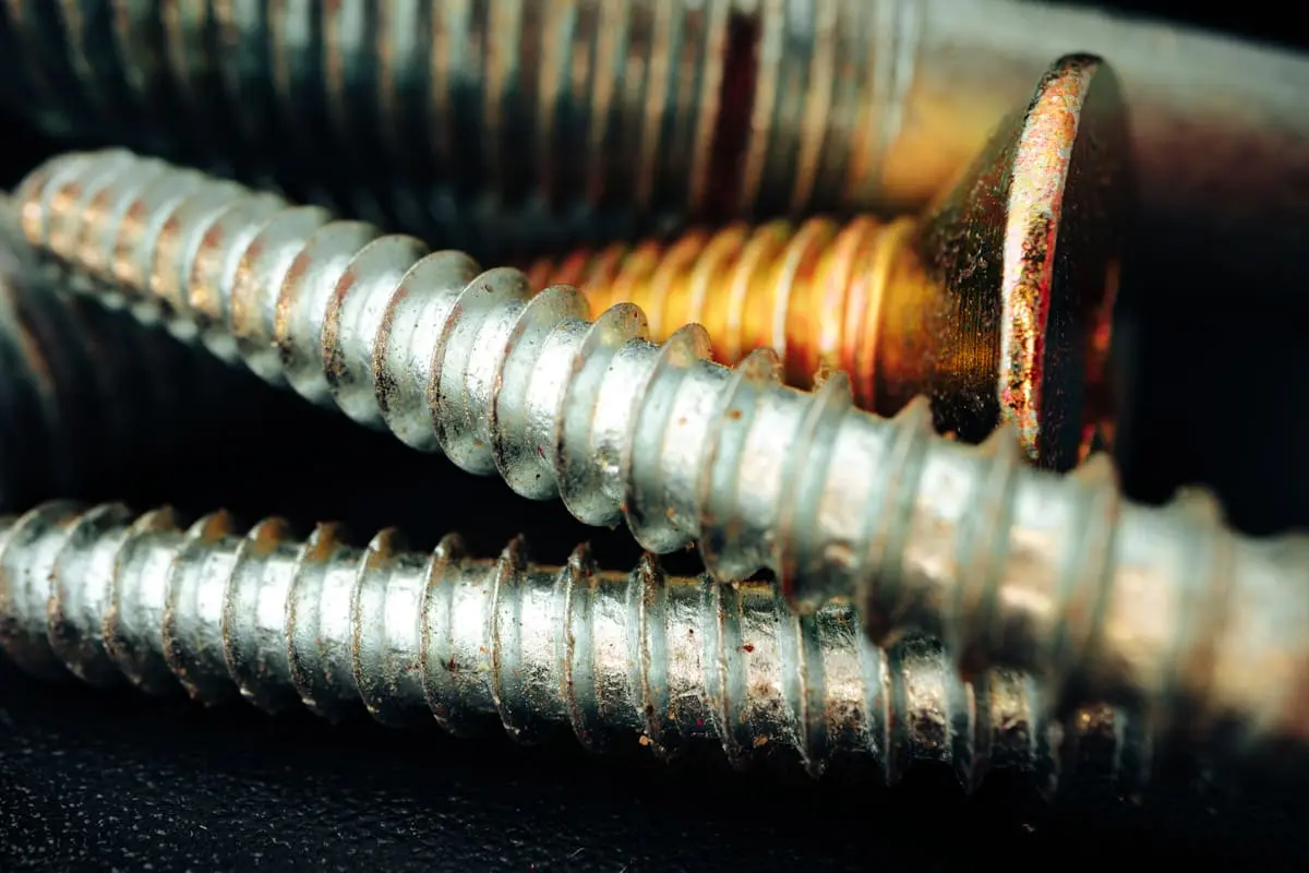 sisteme de prindere - dibluri